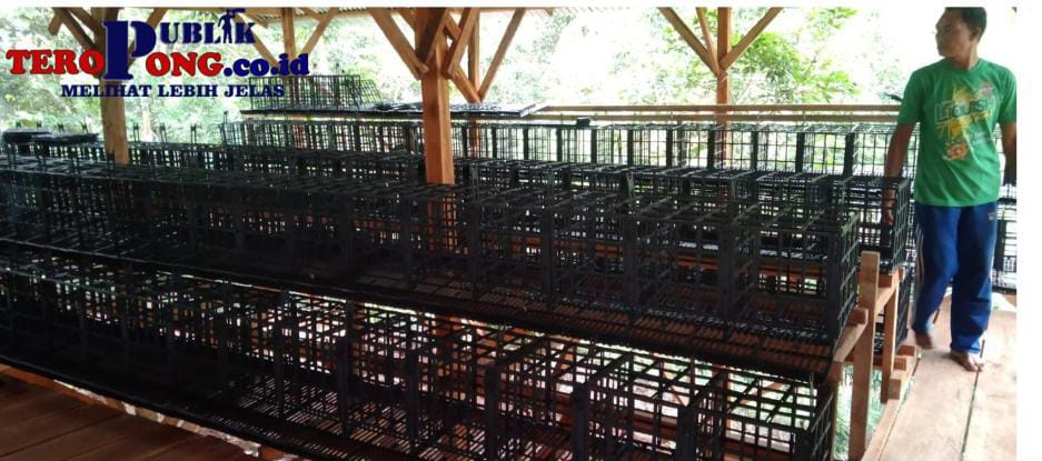 Tingkatkan Pendapatan Desa,Pemdes Karang Tengah Siap Buka Usaha Ayam Petelur
