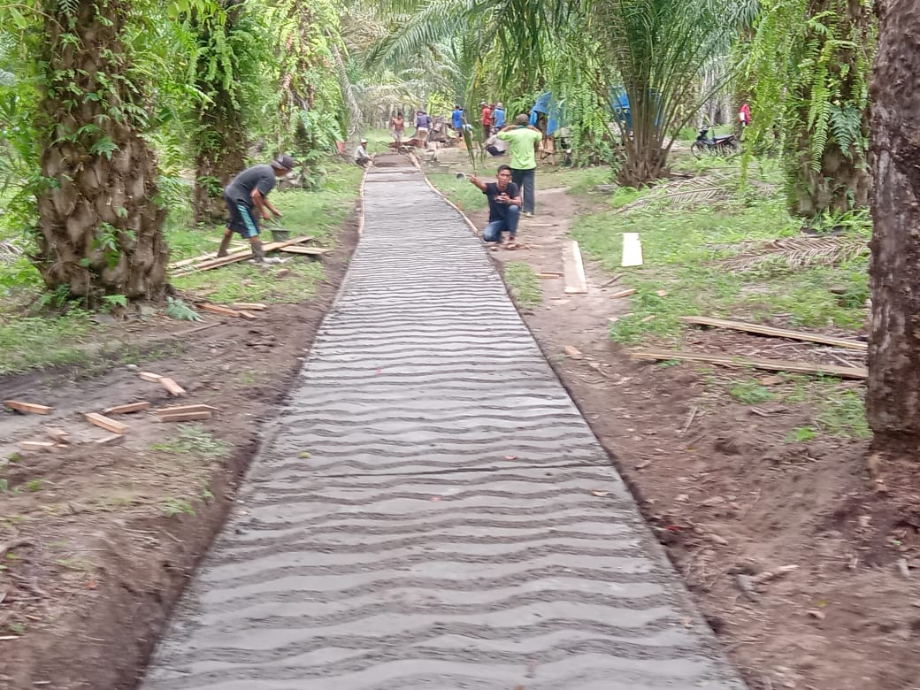 Permudah Distribusi Hasil Bumi lewat Pembangunan Jalan Usaha Tani Di Desa Genting Juar Kab Seluma