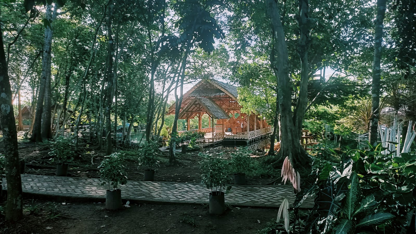 Pesona Wisata ALam Pulau Kumayan Kota Bengkulu