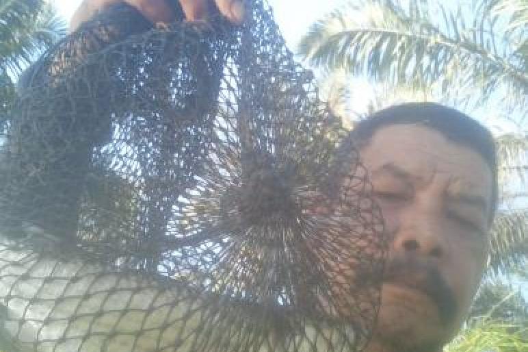Ikan Belanak Sulit Ditaklukkan, Butuh Umpan Jitu dan Teknik Memancing